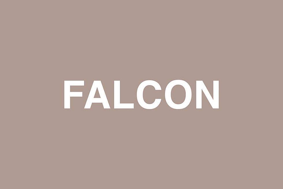 Jaden Smith Teams Up With Raury on New Song ''Falcon''