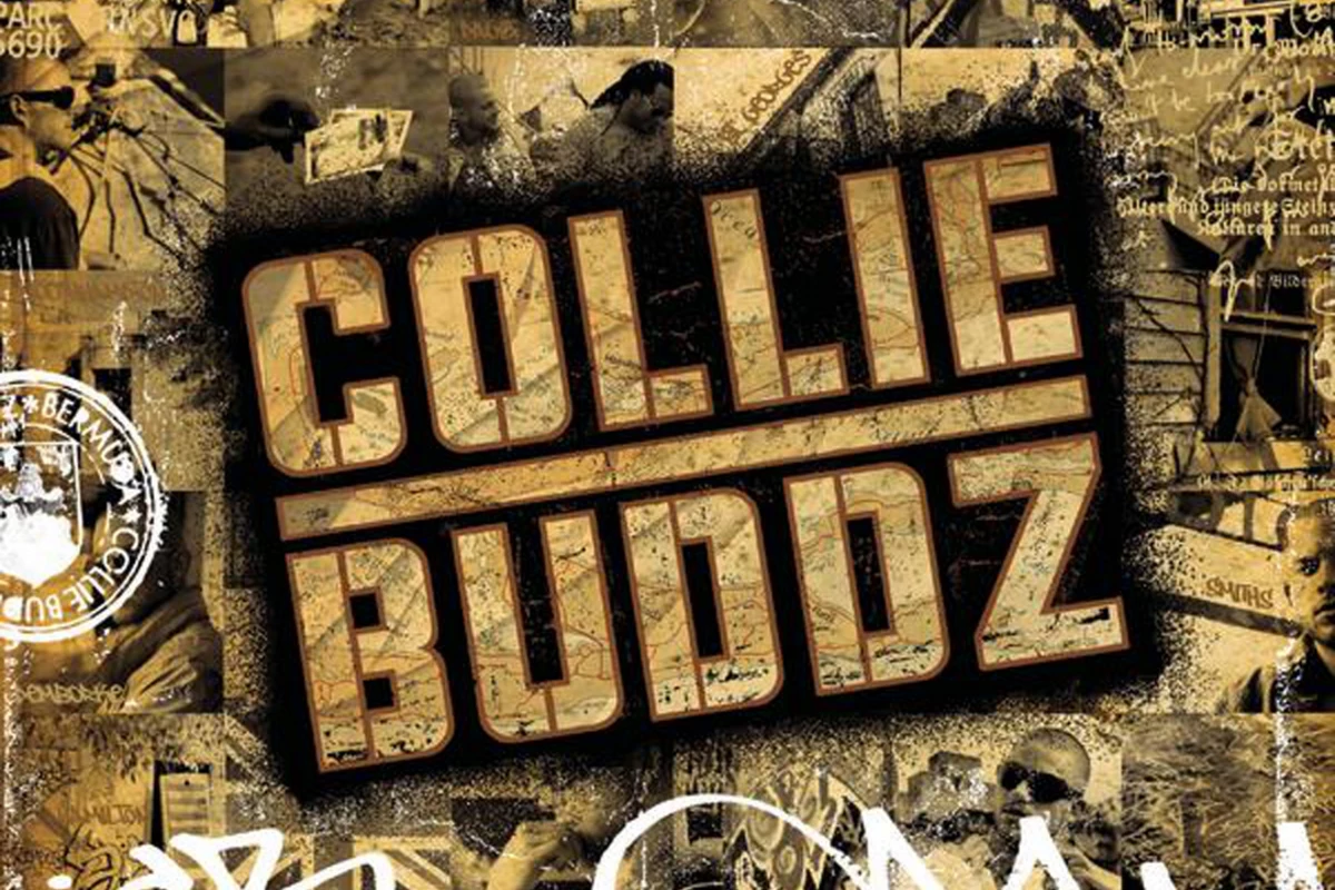Today in HipHop Collie Buddz Drops SelfTitled Debut Album XXL