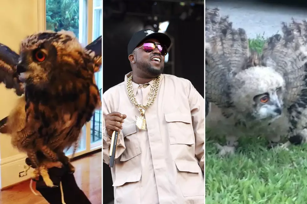 Big Boi Shows Off His Two Pet Owls