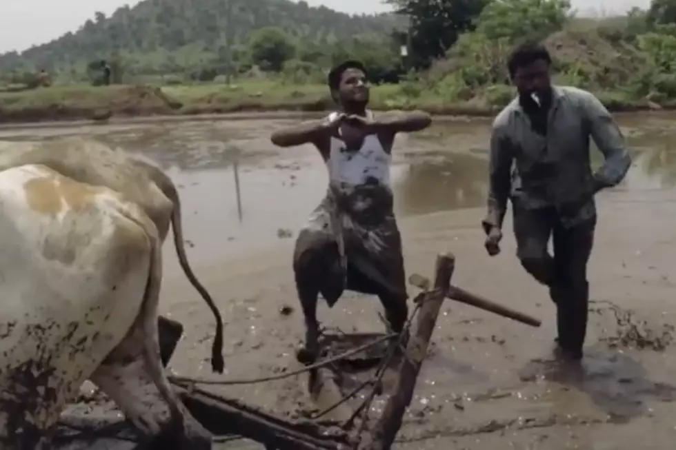 Farmers in India Do Drake&#8217;s &#8220;In My Feelings&#8221; Challenge