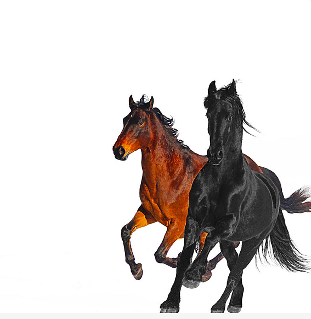 Lil Nas X Drops Old Town Road Remix With Billy Ray Cyrus