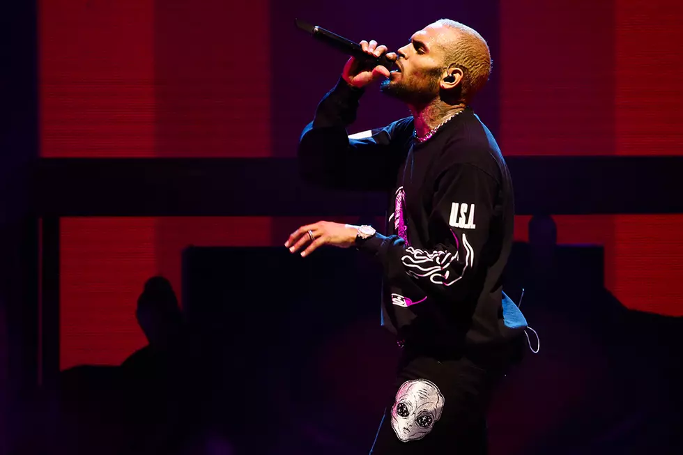 Chris Brown Sued by Former Housekeeper for Dog Attack - Report