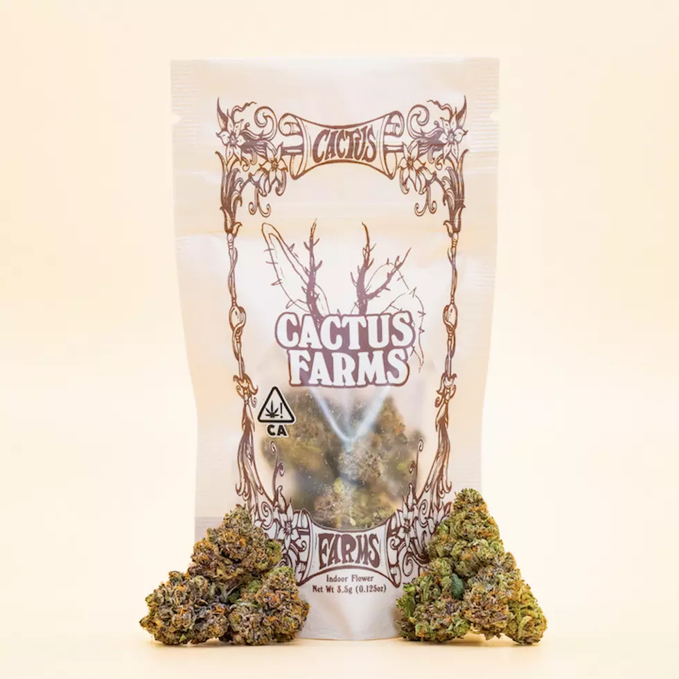 Travis Scott launches weed company Cactus Farms