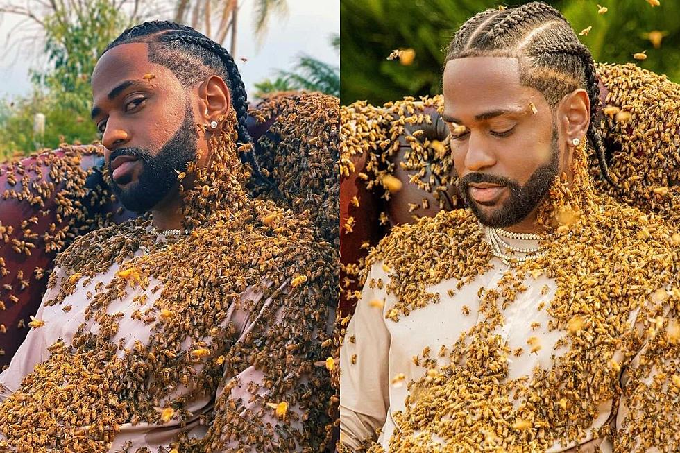 Big Sean Poses With 65,000 Bees Directly on Him for New Video