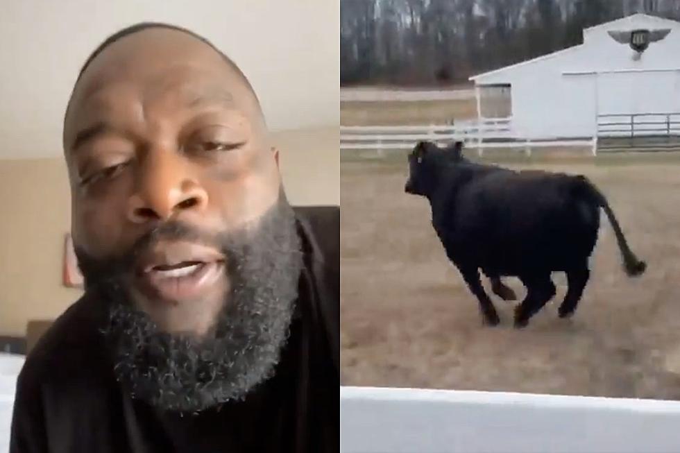 Rick Ross Names Bull He Bought Thor, Says It Whispered to Him in His Dream