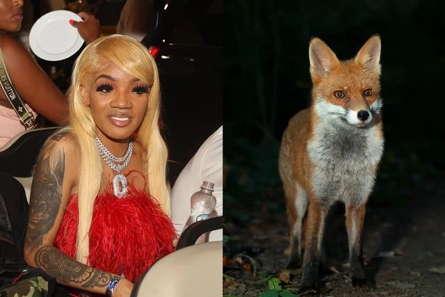 GloRilla Admits She Didn't Know Foxes Were Real