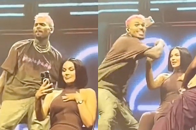 Chris Brown Throws Fan's Phone Into Crowd for Recording Herself