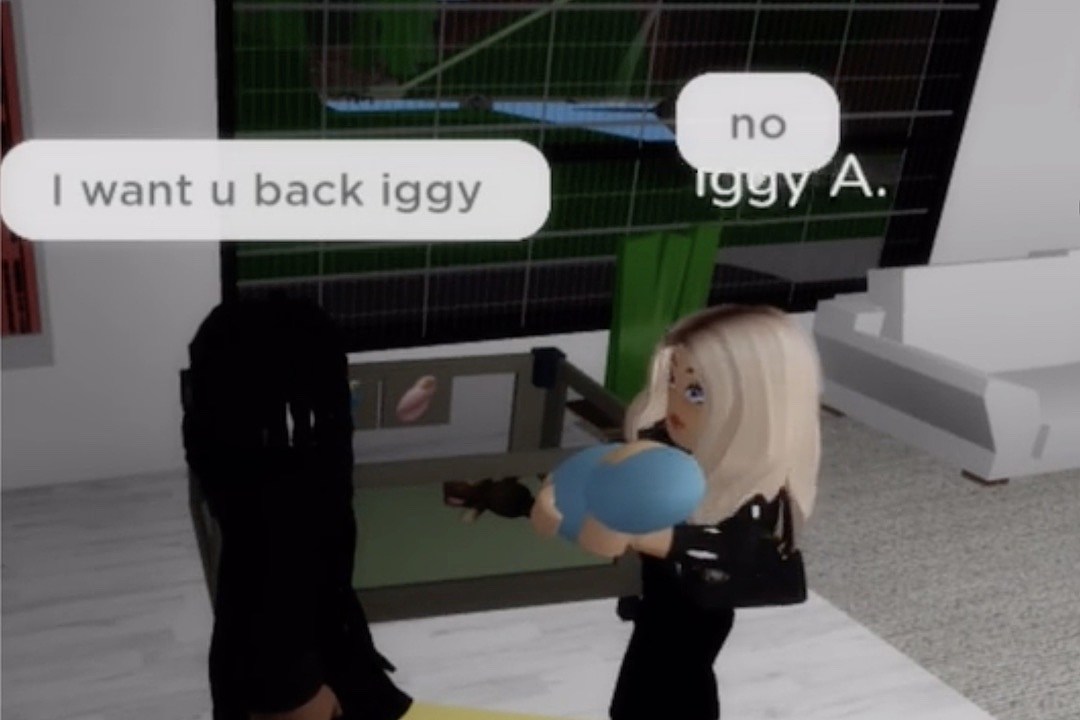 You are an idiot - Roblox