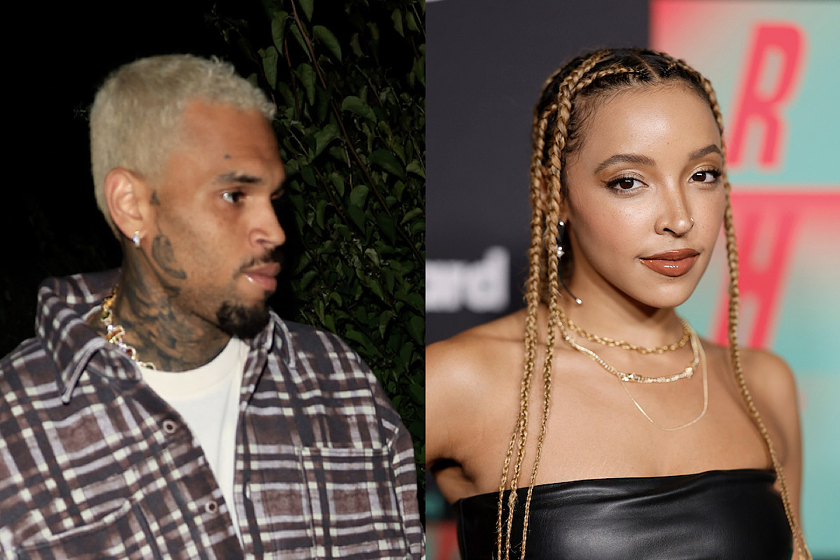 Chris Brown Claps Back at Tinashe for Negative Comments About Him - XXL