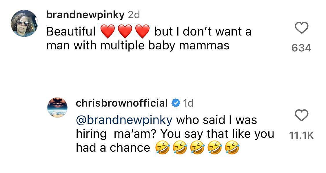 Chris Brown claps back at troll.