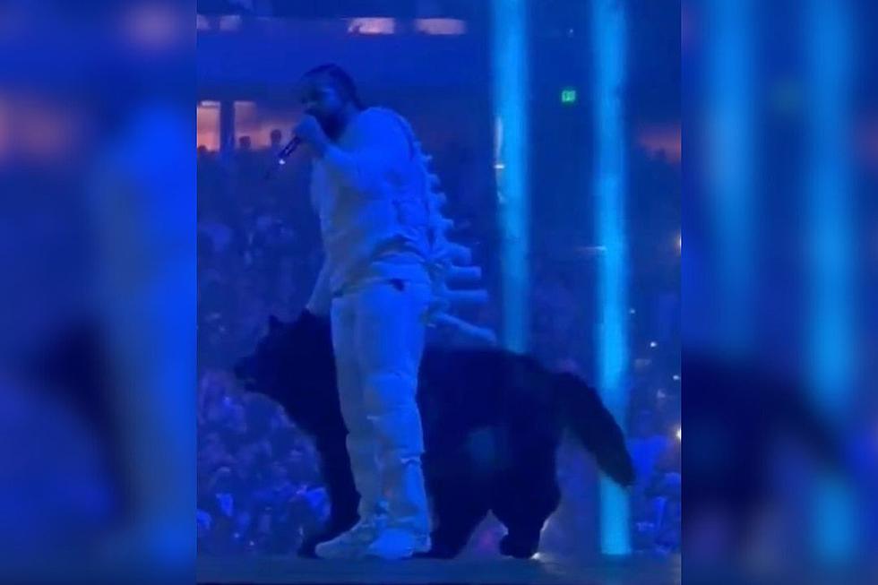 Drake Brings Out Man in Dog Costume