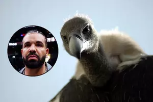 The Debate Over Whether Drake Is a Culture Vulture or Not Soars...