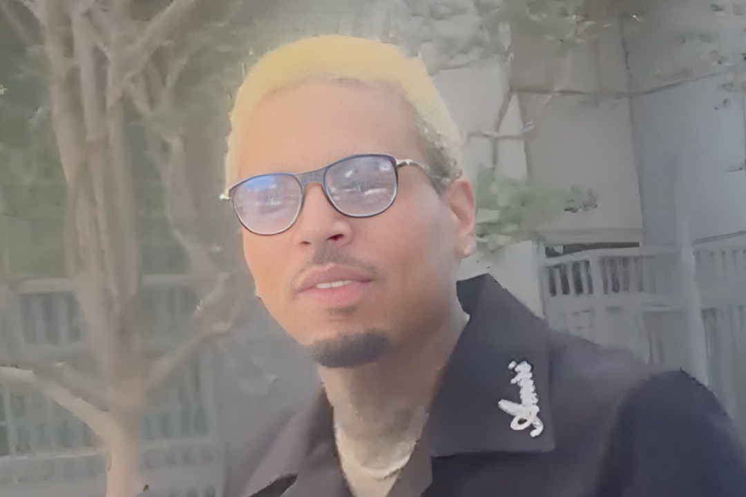 Chris Brown's Dog Attack Case Ends in Mistrial — What Happens Next?