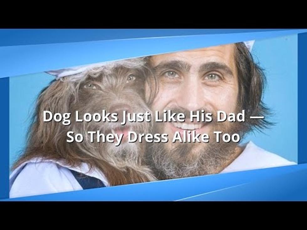 Crazy Or Cute?! This Man And His Dog Are Twins And Love To Show It [WATCH]