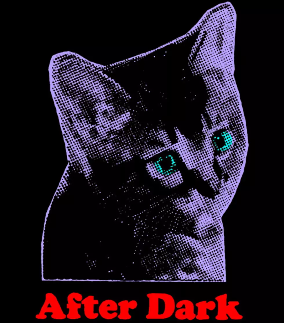 <i>After Dark 2</i> out now (new Chromatics, Glass Candy, Desire, etc.)