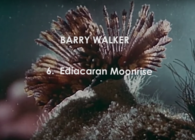 video premiere: Barry Walker &#8211; Ediacaran Moonrise