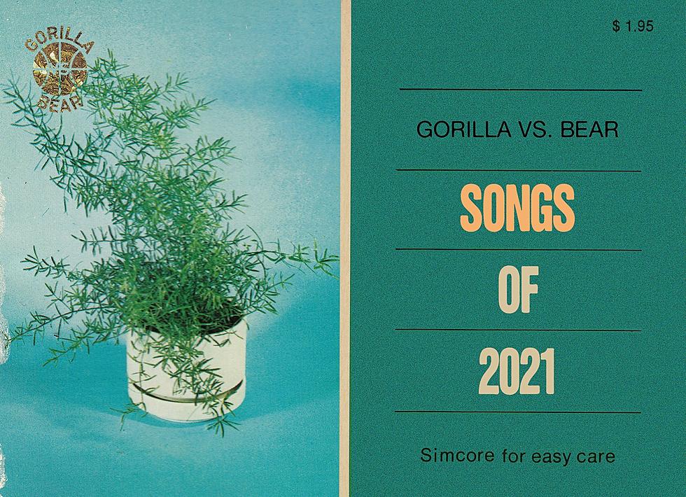 gorilla vs. bear’s songs of 2021