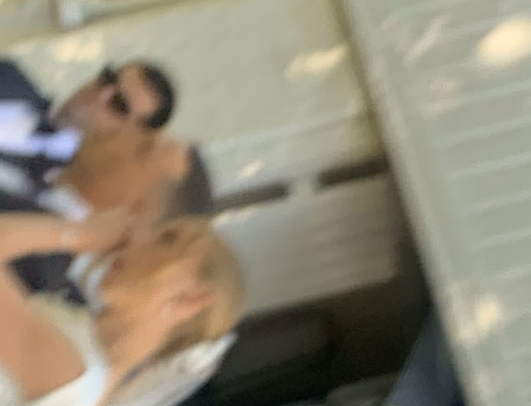 Smerz – Spring summer