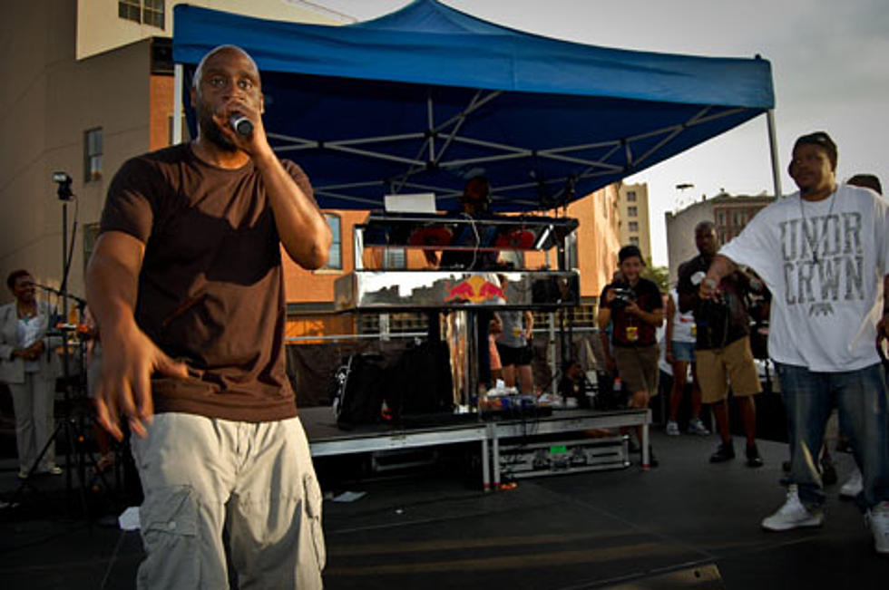 Brooklyn Hip Hop Fest 2010 in pics &#038; video (De La Soul, Pete Rock &#038; CL Smooth, Black Moon, Black Milk &#038; more)