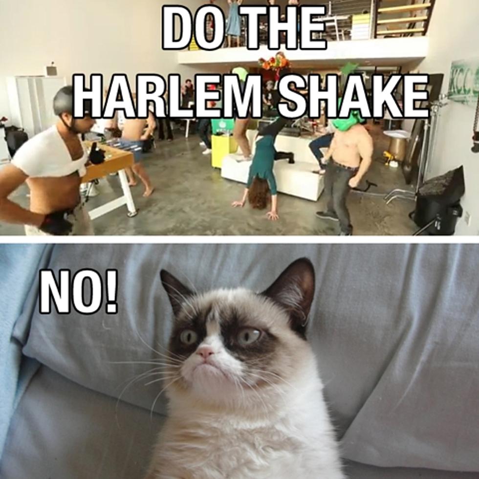 everyone&#8217;s doing the &#8220;Harlem Shake&#8221;; Baauer deleted Azealia Banks&#8217; version off soundcloud, sold out Webster Hall