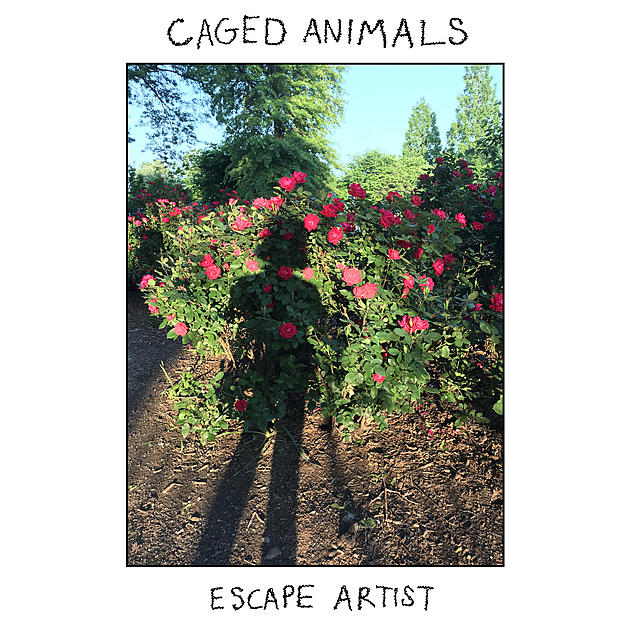 Caged Animals releasing &#8216;Escape Artist&#8217; (listen), announce Brooklyn residency