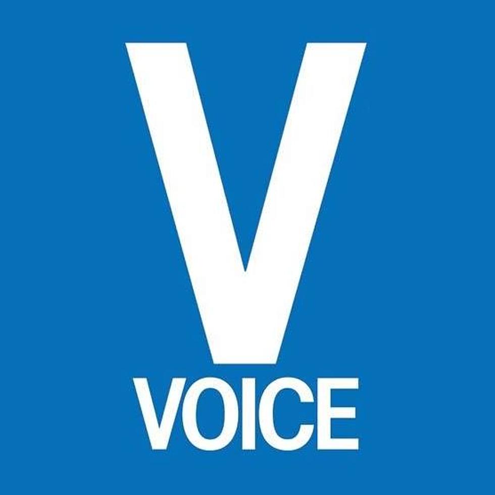 Village Voice, RIP (no more online articles either)