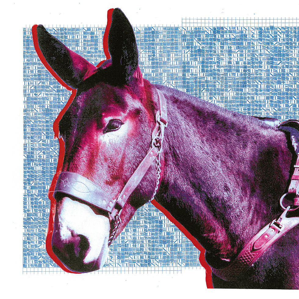 Review: Protomartyr’s ‘Ultimate Success Today’ delivers pitch-black catharsis for dark times
