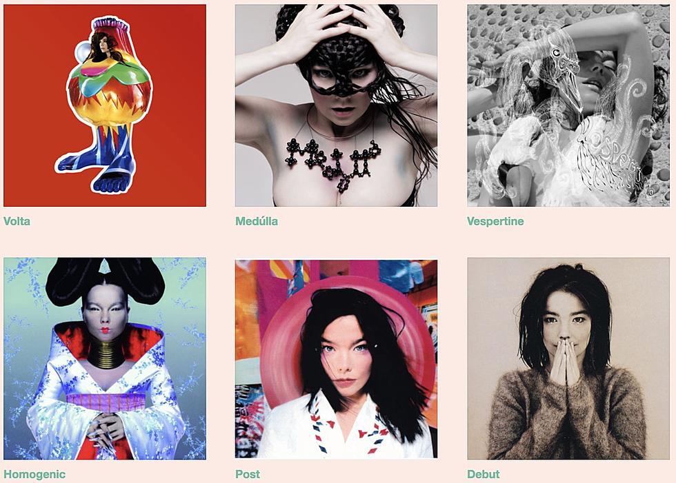 Bjork now on Bandcamp; proceeds through Juneteenth donated to Black Lives Matter