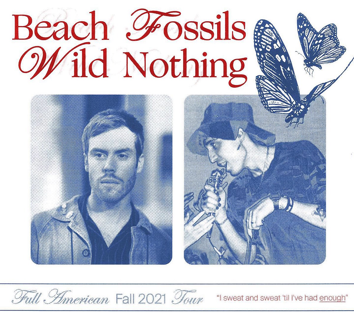 the beach fossils tour