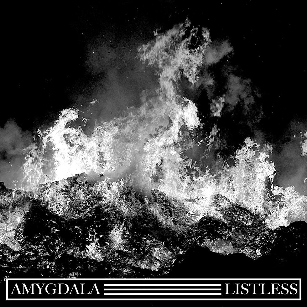 Amygdala &#038; Listless releasing split LP (stream a track from each)