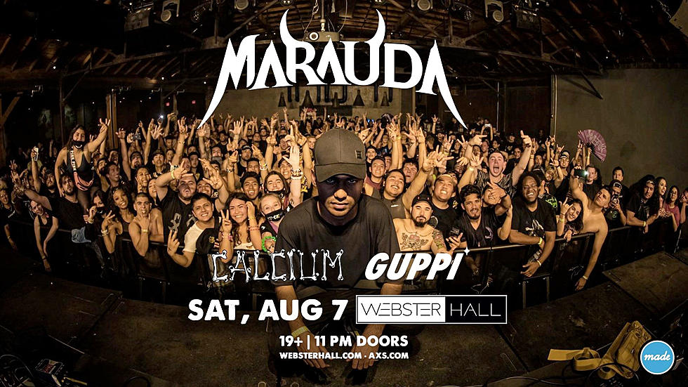Webster Hall shuts down after stage rail breaks during Guppi set