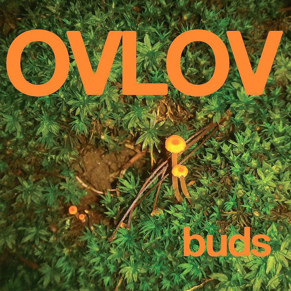 Ovlov announce new album &#8216;Buds,&#8217; share new song &#8220;Land of Steve-O&#8221;