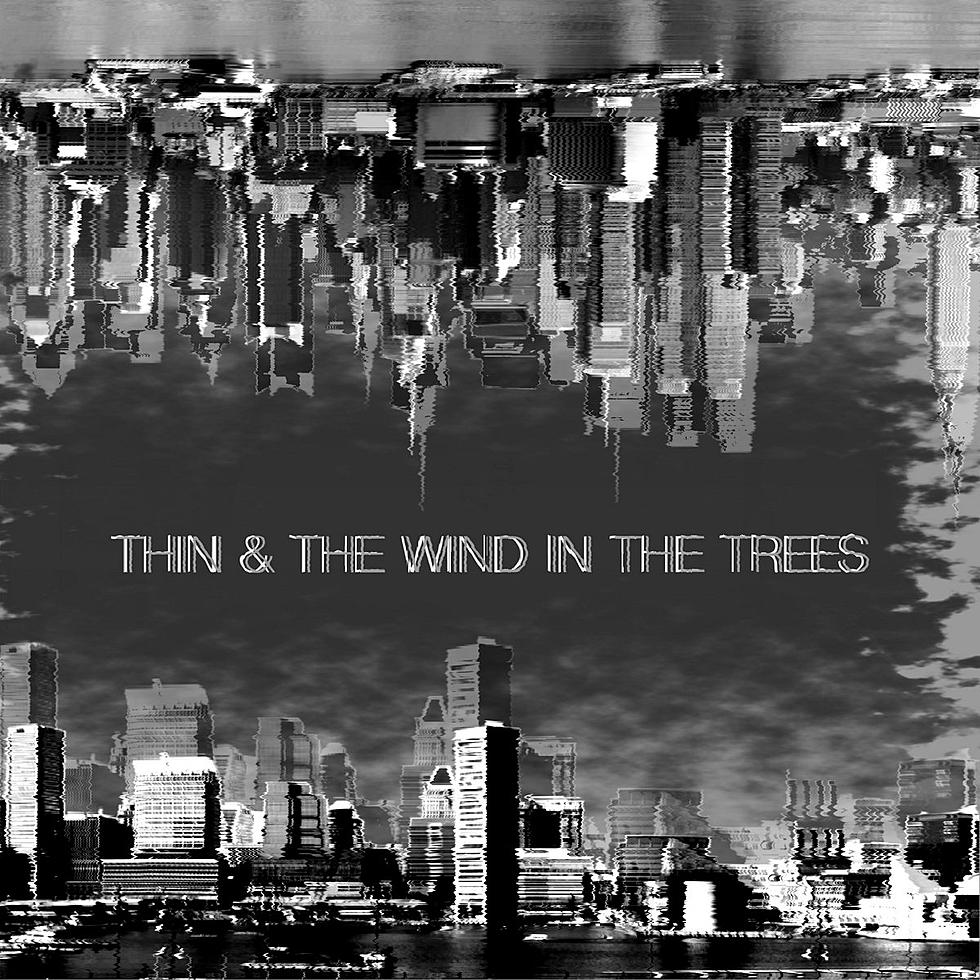 Stream 2 chaotic grind tracks from the new Thin / The Wind in the Trees split