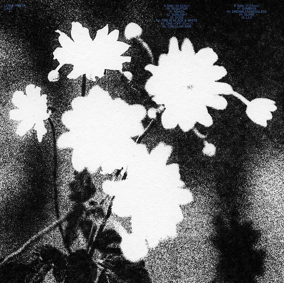 Loma Prieta announce new LP ‘Last’ & tour dates with Frail Body, share “Glare”