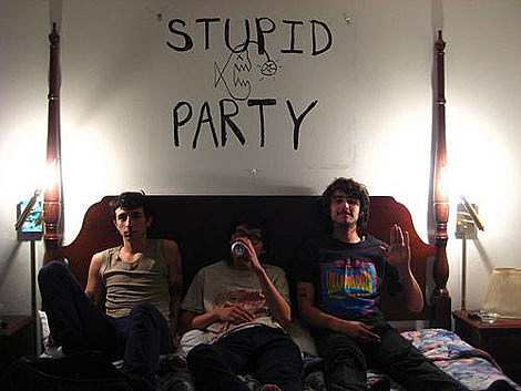 Stupid Party