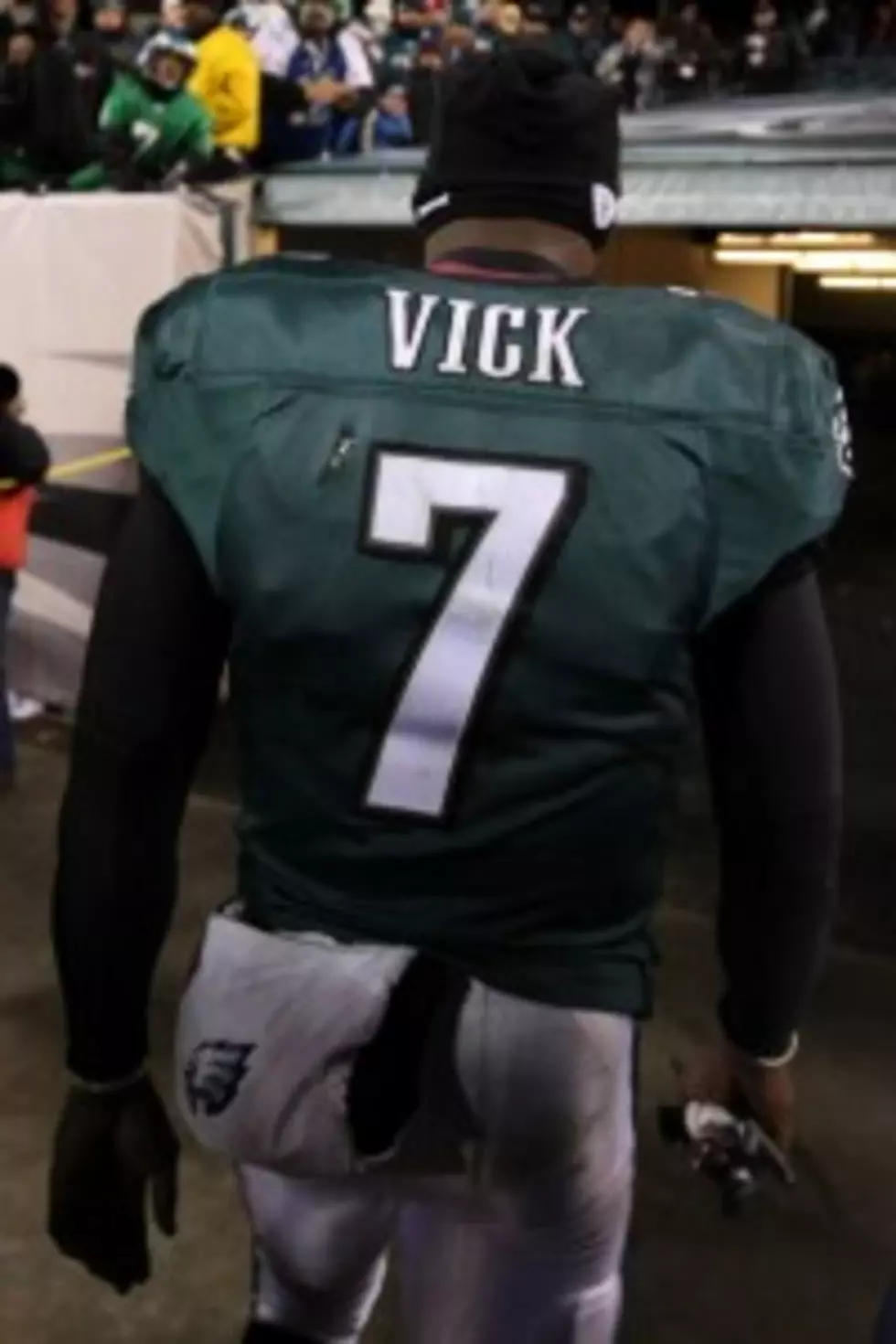 Dogs Have Their Day!       Michael Vick&#8217;s Dog Shelter?