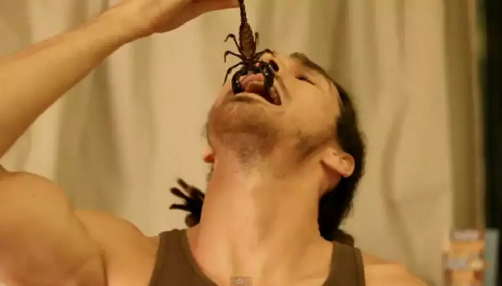 Guy Eats Giant Live Scorpion