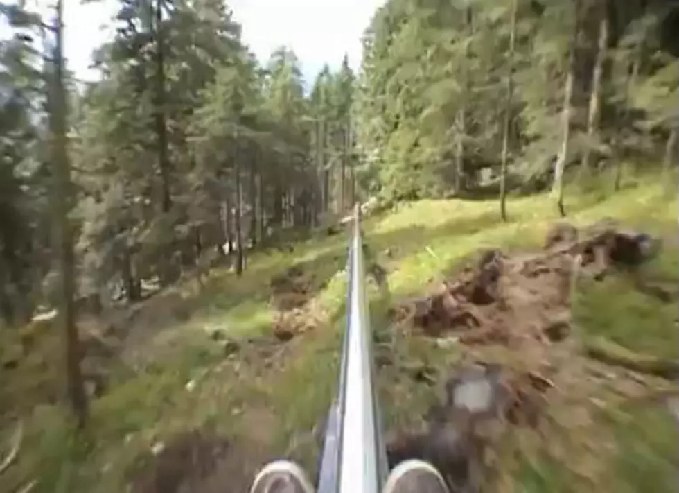 The Alpine Coaster With No Brakes