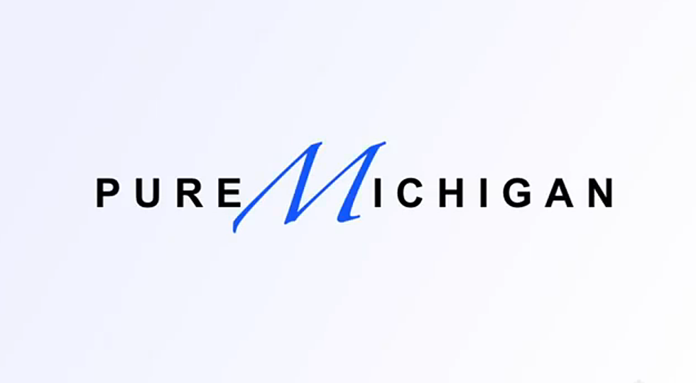 Pure Michigan: Wisconsin And Ohio Spoof
