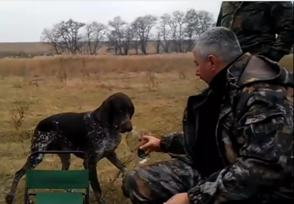 Dog Trained To Fetch Vodka