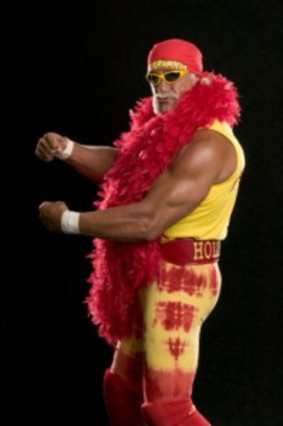 Brother Lover!  Hulk Hogan Latest Celebrity Sex Tape Victim