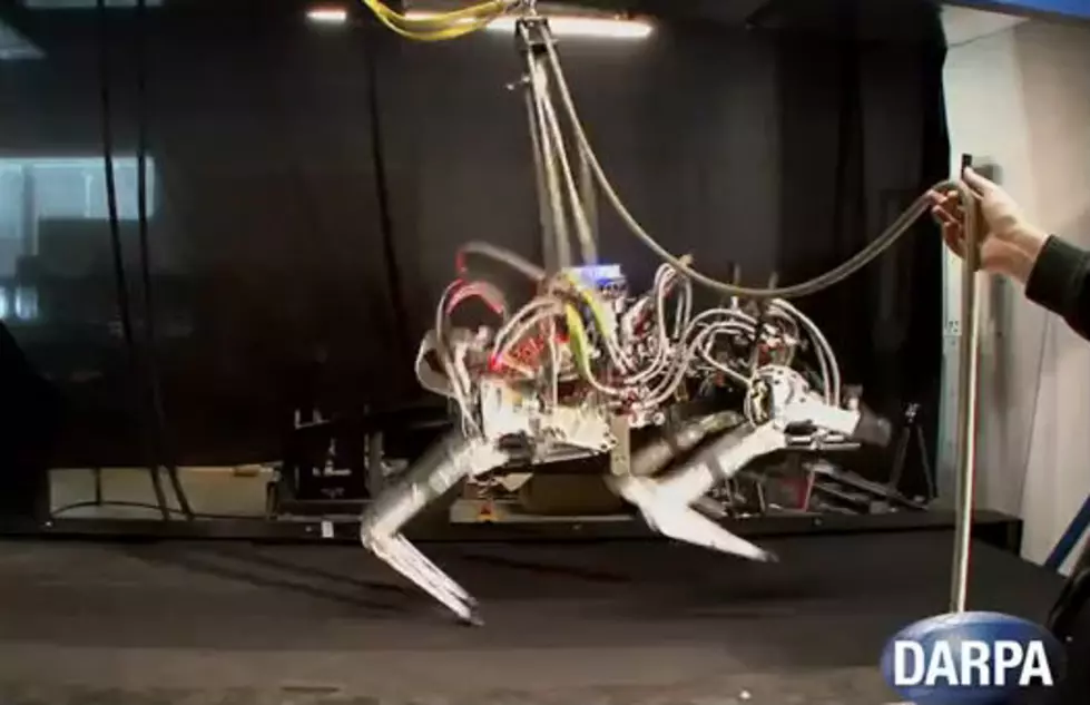 Robot Cheetah Sets Speed Record For Legged Robots