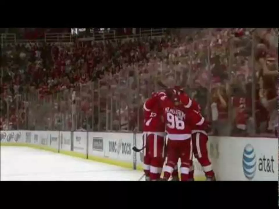 Detroit Red Wings 2011-2012 Highlights