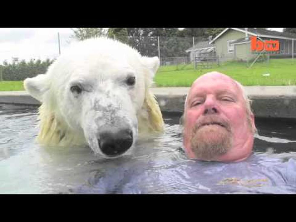 Crazy Old Man Swims With His Polar Bear