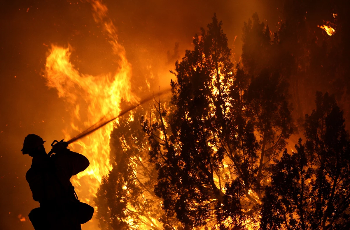 Пожарные тушат лес
