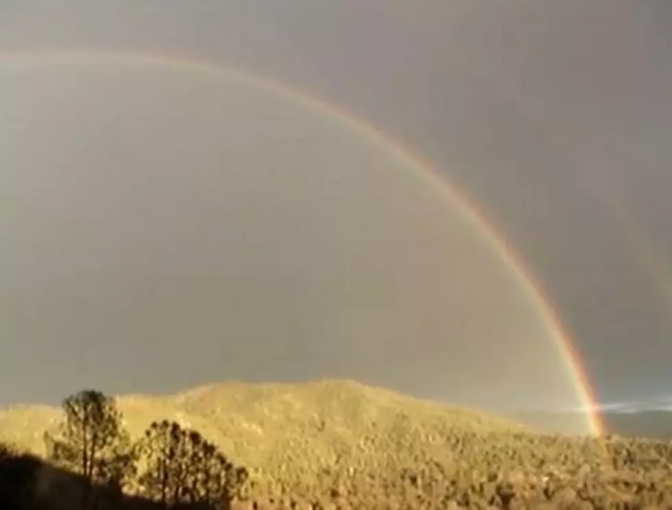 ‘Bear’ in Yosemite National Park Loses It Over Double Rainbow – Friday Flashback