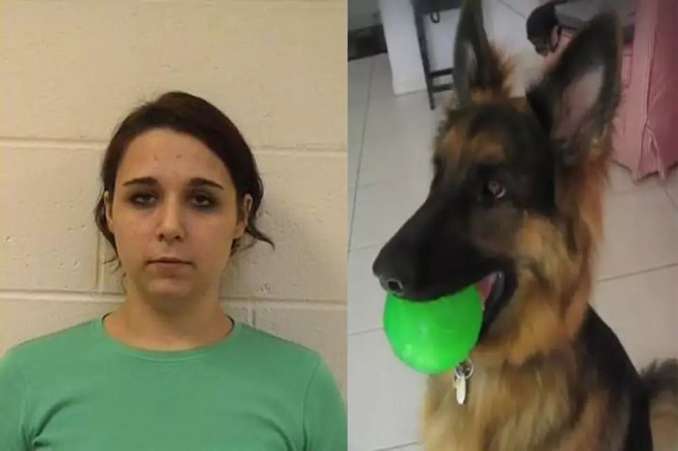 Woman Accused of Killing Her Dog by Feeding It Drano and Bleach