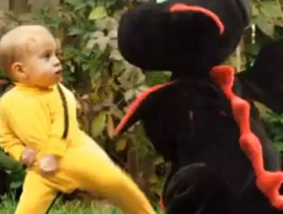 Kung Fu Baby Kicks Dragon Butt [VIDEO]