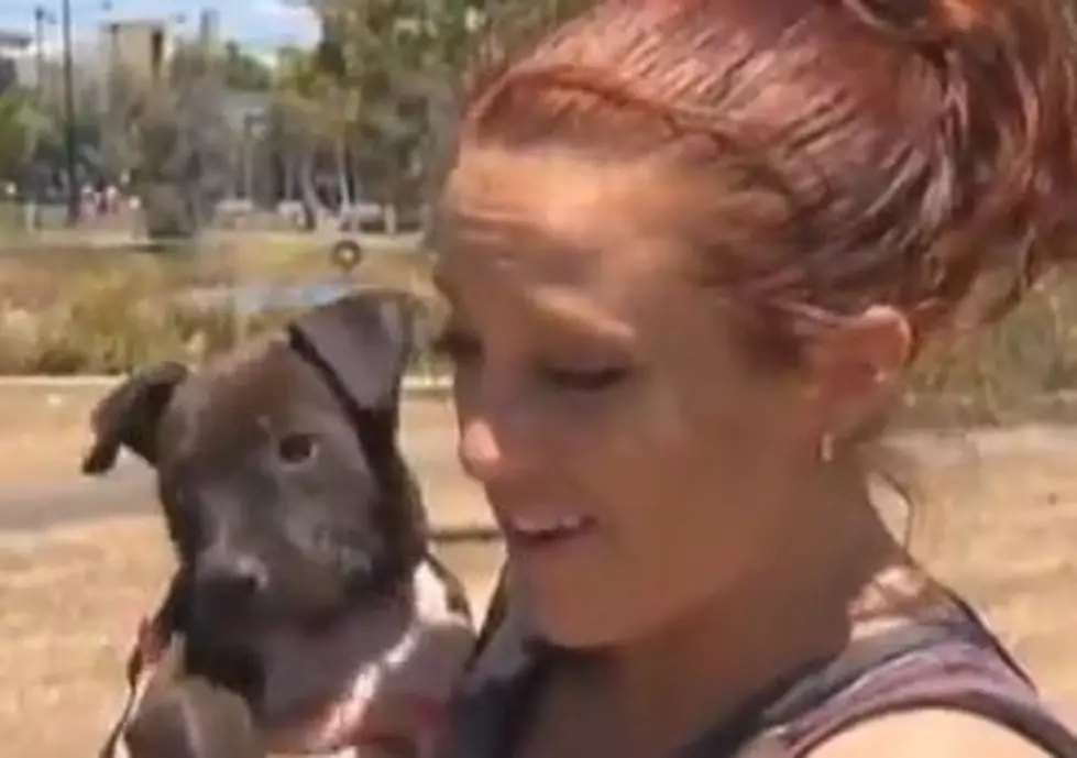 Puppy’s Life Saved By Vodka [VIDEO]