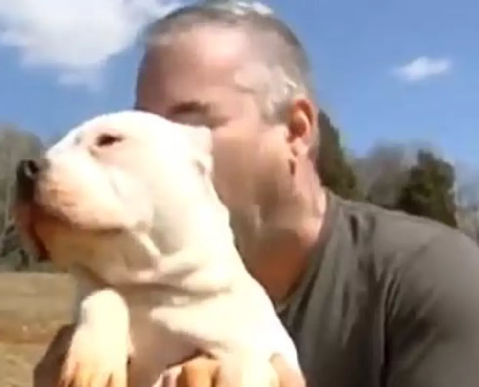 Tattoo Artist Under Investigation For Tattooing His Dogs [VIDEO]